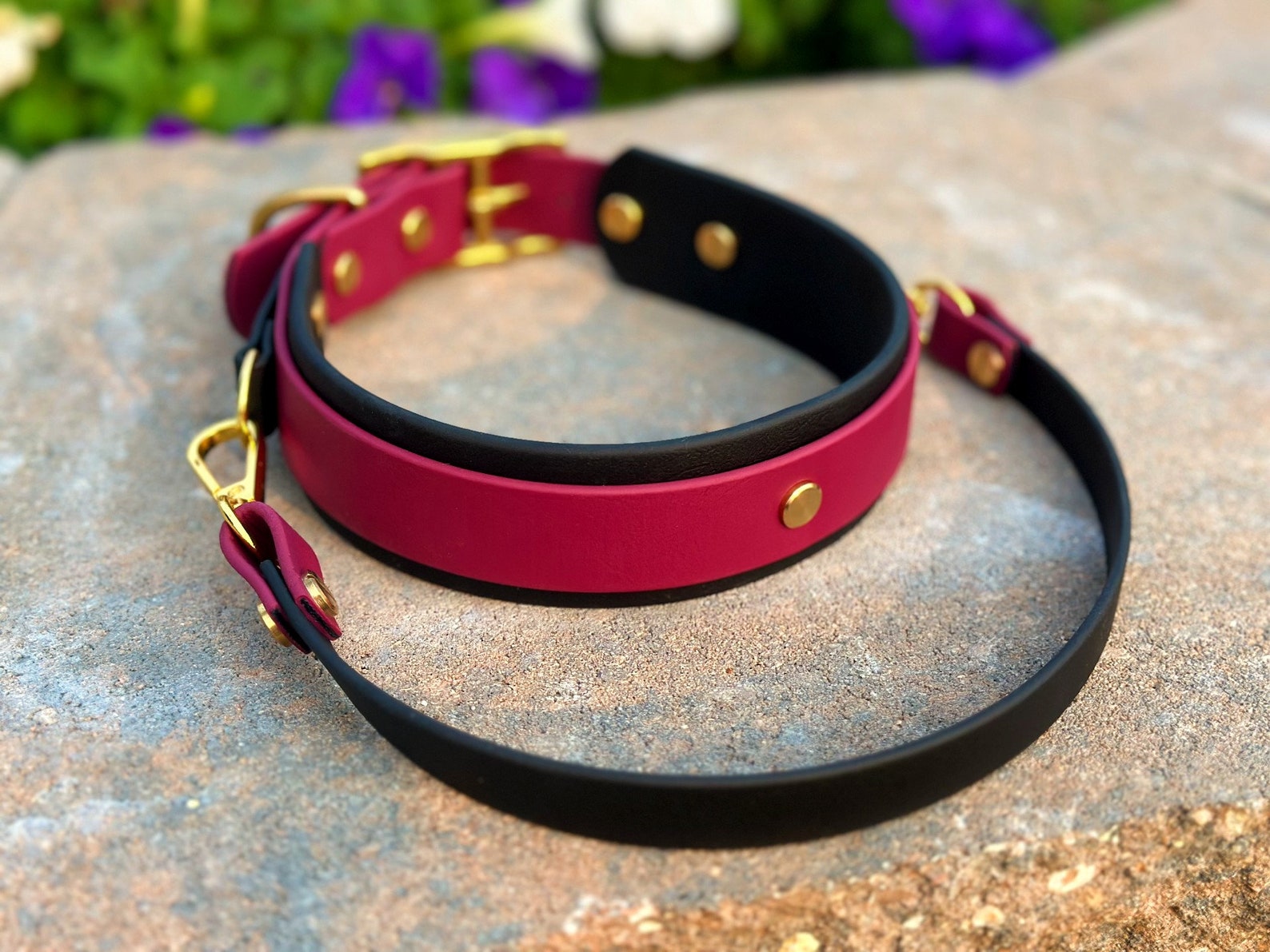 Double Layer 1.5 Inch Biothane Dog Collar and Leash Set | Detachable ...