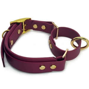 May include: Burgundy leather dog collar with gold hardware and a double D-ring design.