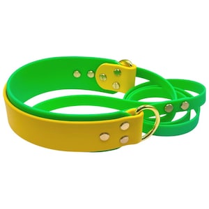 Biothane 2 Inch Lure Coursing Collar and Leash Set | FastCAT Leash | Fly Ball Leash | Dock Diving | Barn Hunt | Sport Dog Leash | Waterproof image 5
