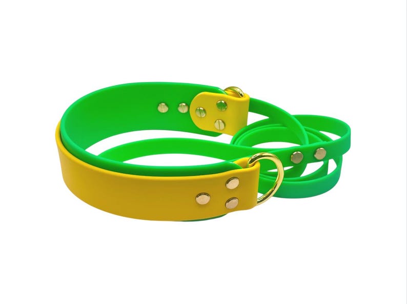 Biothane 2 Inch Lure Coursing Collar and Leash Set | FastCAT Leash | Fly Ball Leash | Dock Diving | Barn Hunt | Sport Dog Leash | Waterproof image 5