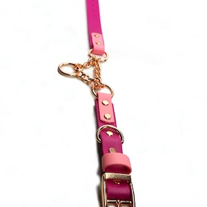 Adjustable Martingale Dog Collar | 1 Inch to 3/4 Inch Tapered | Anti Slip Collar | Waterproof | Strong