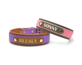May include: Two pet collars with gold-tone metal hardware. One collar is brown and purple with the name BEESLY in gold lettering. The second collar is olive green and pink with the name SONNY in white lettering, both secured with gold rivets.