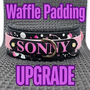 Può includere: Un collare nero con un motivo a schizzi di vernice rosa e bianca, caratterizzato da una striscia centrale nera con il nome SONNY in lettere rosa. Il collare include un anello a D color oro, rivetti dorati e una base rosa chiaro con imbottitura a nido d'ape.