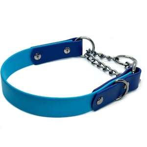 1&quot; Biothane Martingale Dog Collar | Waterproof | Durable | Half Check Collar | Two Tone