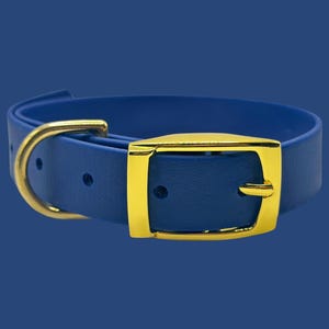 PREMADE 1&quot; Inch Biothane Dog Collar | 14.5&quot; to 18.5&quot; | Standard Traditional Buckle | Waterproof | Durable | Strong | Ready to Ship