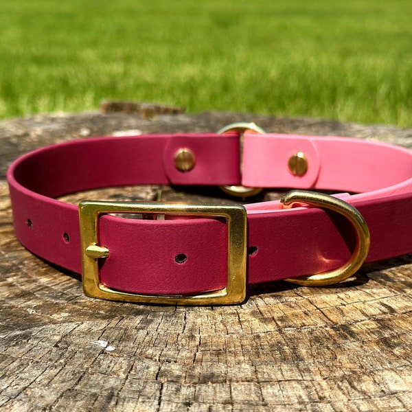 1" Center Ring | Biothane Two Toned Dog Collar | Waterproof | Easy to Clean | Vegan Leather | Adjustable Buckle | Durable