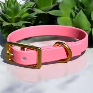 1/2 Inch Biothane Small Dog Collar | Standard Dog Collar | Waterproof | Easy to Clean