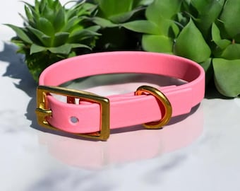 1/2 Inch Biothane Small Dog Collar | Standard Dog Collar | Waterproof | Easy to Clean