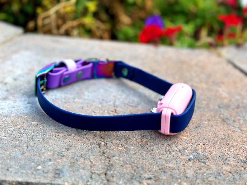 Puede incluir: Un collar de silicona azul oscuro con un dispositivo electr&oacute;nico rectangular de color rosa claro unido a la correa. El collar incluye una trabilla de silicona morada y un mecanismo de hebilla met&aacute;lico iridiscente con herrajes a juego.