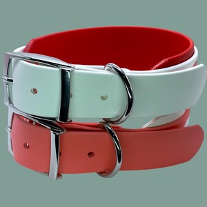 May include: Two dog collars, one white and one coral, with silver buckles and D-rings.