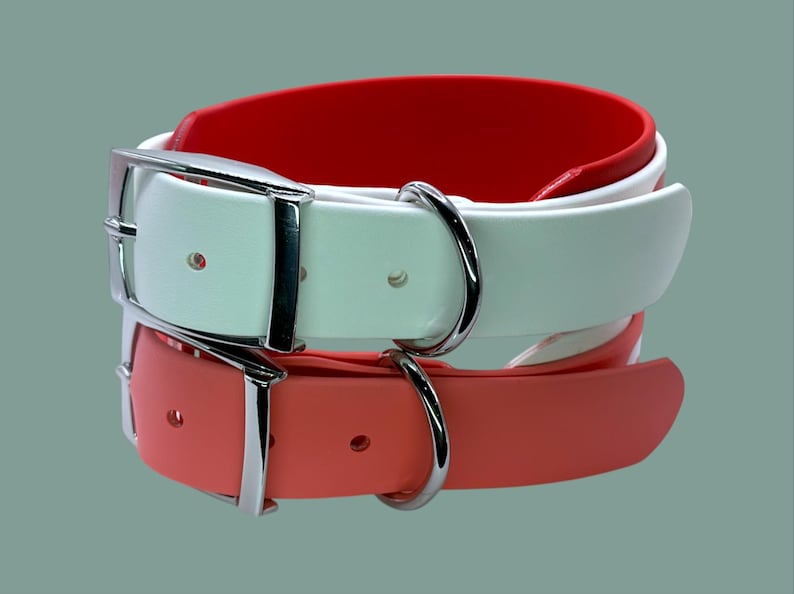 May include: Two dog collars, one white and one coral, with silver buckles and D-rings.