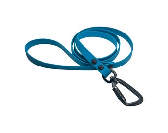 Peut inclure: Une laisse pour chien de couleur turquoise avec un mousqueton noir. La laisse est faite d'un matériau souple et comporte des rivets noirs près de la fixation du clip. La laisse est conçue pour les propriétaires d'animaux.