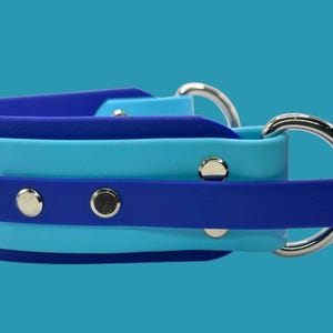 May include: A blue and turquoise dog collar with silver hardware. The collar is made of a soft, flexible material and has a double layer design.