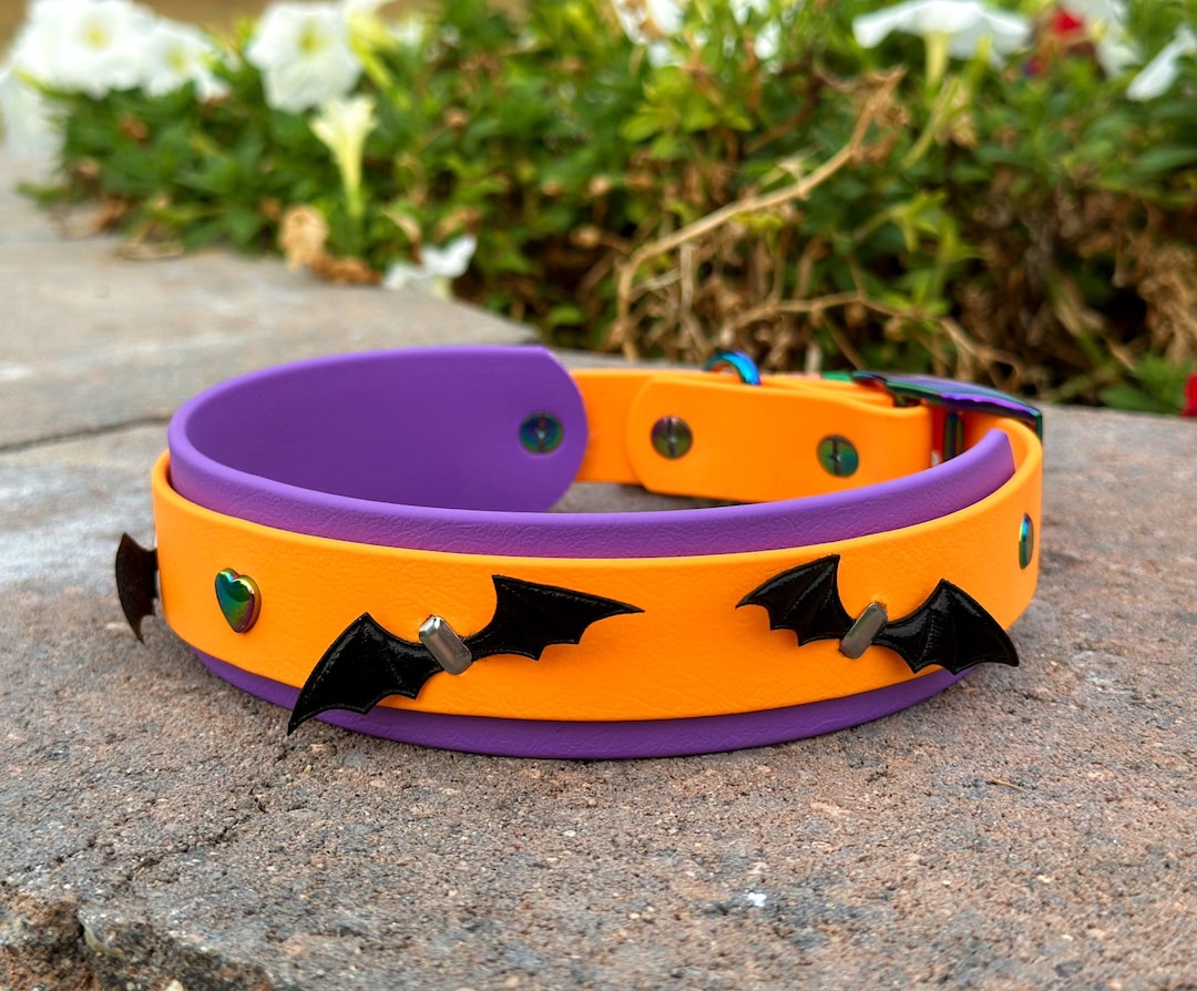 Halloween Biothane Dog Collar Double Layered 1.5 Inch With Bats Spooky