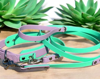 Op de afbeelding: Een set bestaande uit een halsband en riem voor huisdieren in lavendel en mintgroen, gemaakt van glad, flexibel materiaal met zilverkleurige metalen hardware, een stevige D-ring, een draaibare musketonhaak en klinknagels.