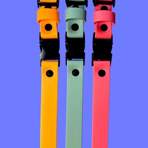 Puede incluir: Tres collares ajustables en naranja ne&oacute;n, verde salvia y rosa brillante. Cada collar presenta una correa lisa con acabado mate, una hebilla de pl&aacute;stico negro de liberaci&oacute;n lateral, un perno de hebilla de metal negro y una anilla en D de metal negro.