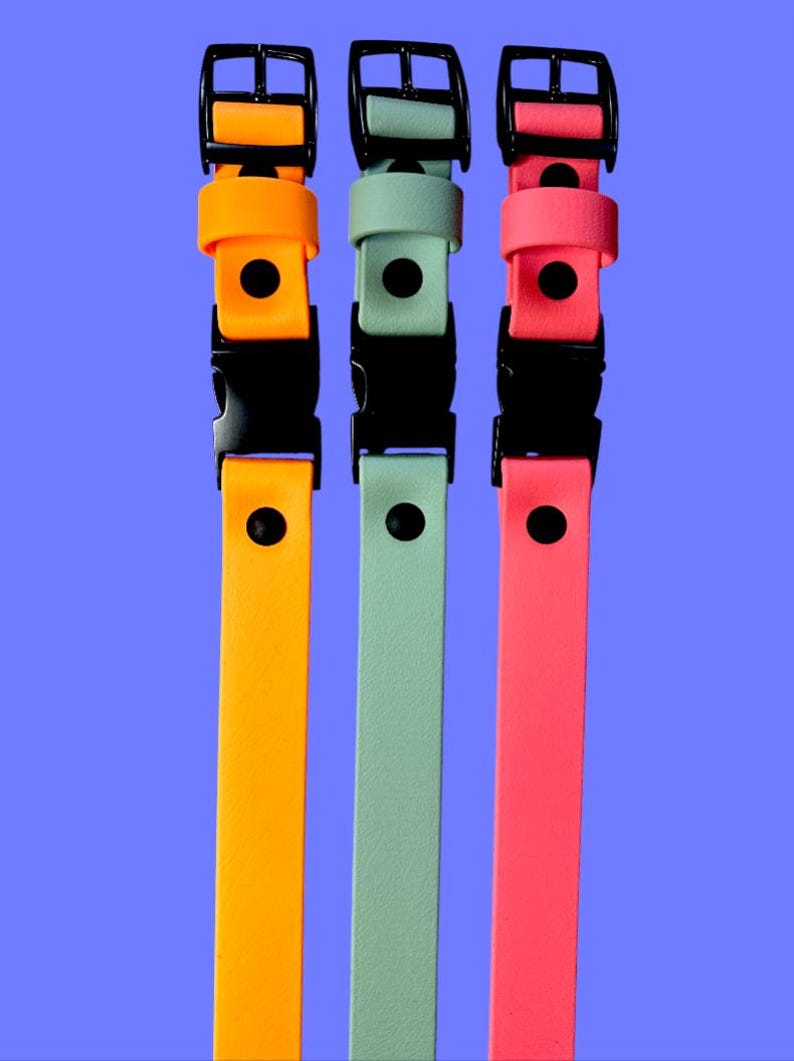 Puede incluir: Tres collares ajustables en naranja ne&oacute;n, verde salvia y rosa brillante. Cada collar presenta una correa lisa con acabado mate, una hebilla de pl&aacute;stico negro de liberaci&oacute;n lateral, un perno de hebilla de metal negro y una anilla en D de metal negro.