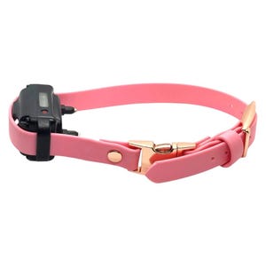 Biothane E-Collar Strap | Quick Release | Adjustable | 1 inch | 3/4 Inch | 5/8 Inch | Waterproof | Durable (E-Collar Brick Not Included)