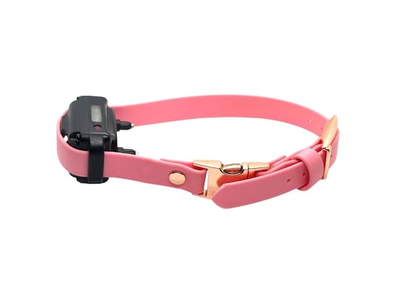 Biothane E-Collar Strap | Quick Release | Adjustable | 1 inch | 3/4 Inch | 5/8 Inch | Waterproof | Durable (E-Collar Brick Not Included)
