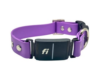 Fi Series 3 Compatible Biothane Dog Collar | 1" Wide Single Layer | Waterproof | Fi Brick Not Included