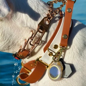 May include: A white and brown leather dog collar with a gold chain leash and a gold tag attached. The collar has a white leather strap with a brown leather strap on top. The leash is a gold chain with a gold clasp. The tag is a round gold tag with a blue and white design.