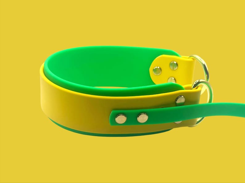 Biothane 2 Inch Lure Coursing Collar and Leash Set | FastCAT Leash | Fly Ball Leash | Dock Diving | Barn Hunt | Sport Dog Leash | Waterproof image 4