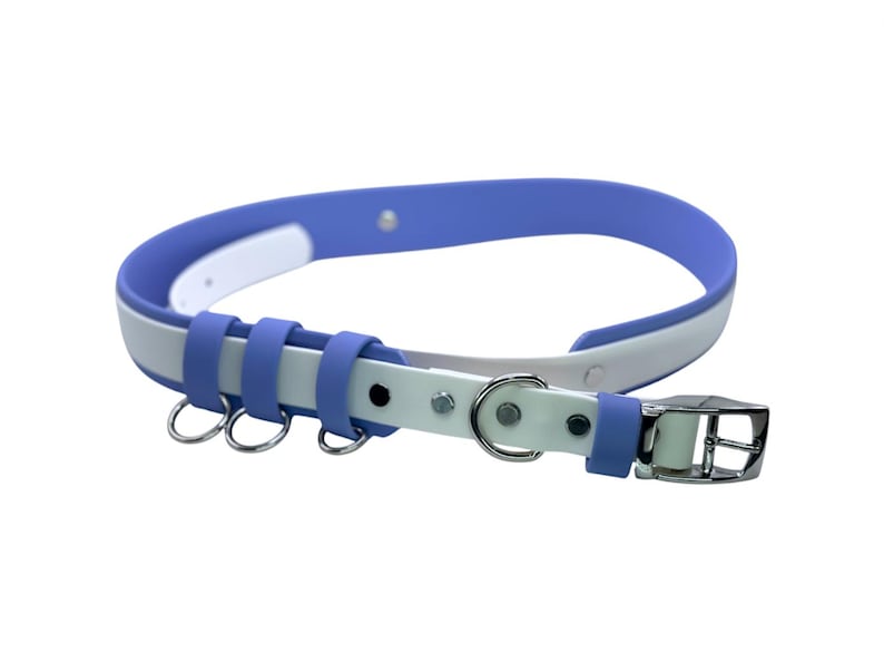 May include: A blue and white dog collar with three metal rings and a silver buckle.