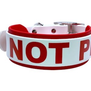 May include: White dog collar with a red stripe and the words "NOT PET" in red letters.
