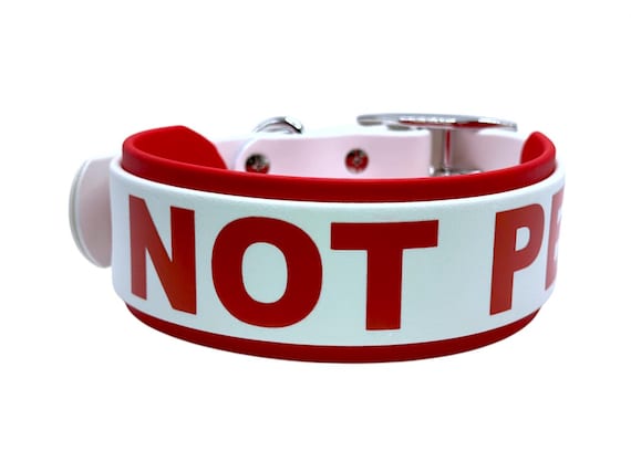 2" Double Layered DO NOT PET Biothane Dog Collar | 2" with a 1.5" Overlay | Reactive Dog | Service Dog | Working Dog | Durable | Waterproof