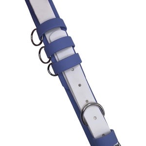 May include: A blue and white dog collar with a silver buckle and three silver rings.