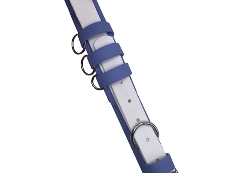 May include: A blue and white dog collar with a silver buckle and three silver rings.