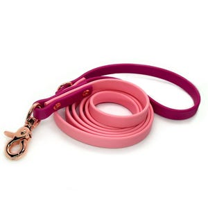 Laisse pour chien en biothane de luxe HEAVY DUTY | Laisse épaisse pour chien | Fort | Résistant | Imperméable