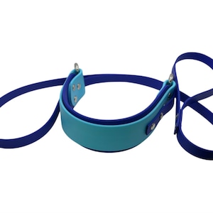 May include: A blue and turquoise dog leash with a loop handle. The leash is made of a durable material and has a strong clip.