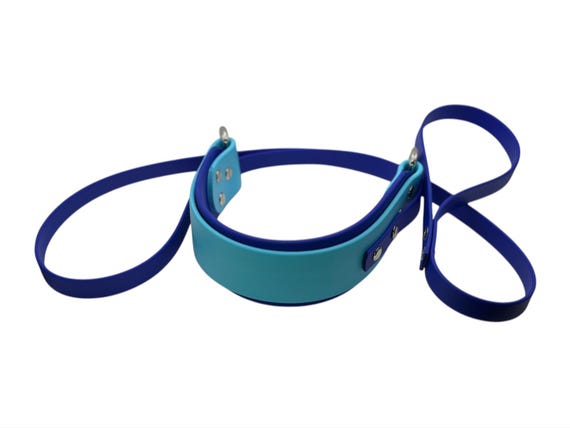 Biothane 2 Inch Lure Coursing Collar and Leash Set | FastCAT Leash | Fly Ball Leash | Dock Diving | Barn Hunt | Sport Dog Leash | Waterproof