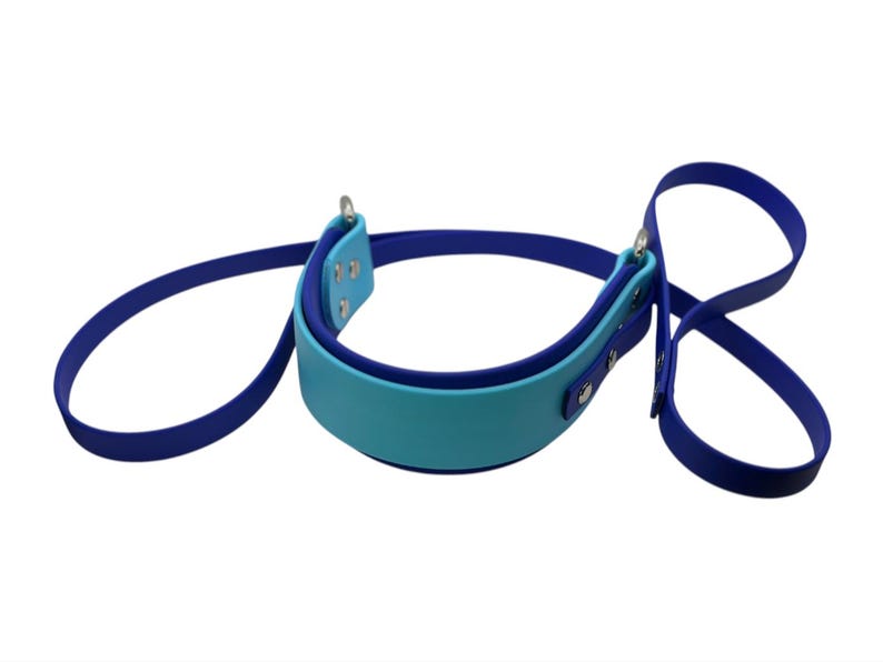 May include: A blue and turquoise dog leash with a loop handle. The leash is made of a durable material and has a strong clip.