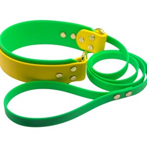 Biothane 2 Inch Lure Coursing Collar and Leash Set | FastCAT Leash | Fly Ball Leash | Dock Diving | Barn Hunt | Sport Dog Leash | Waterproof image 8
