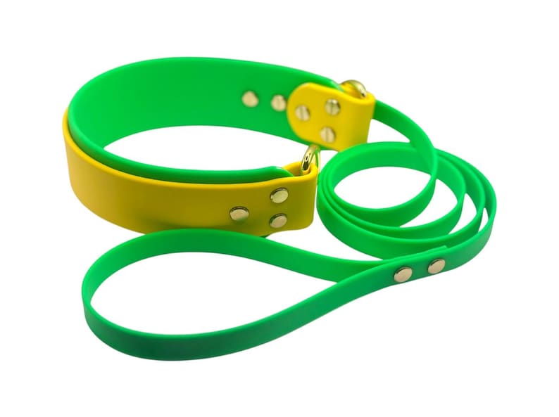 Biothane 2 Inch Lure Coursing Collar and Leash Set | FastCAT Leash | Fly Ball Leash | Dock Diving | Barn Hunt | Sport Dog Leash | Waterproof image 8