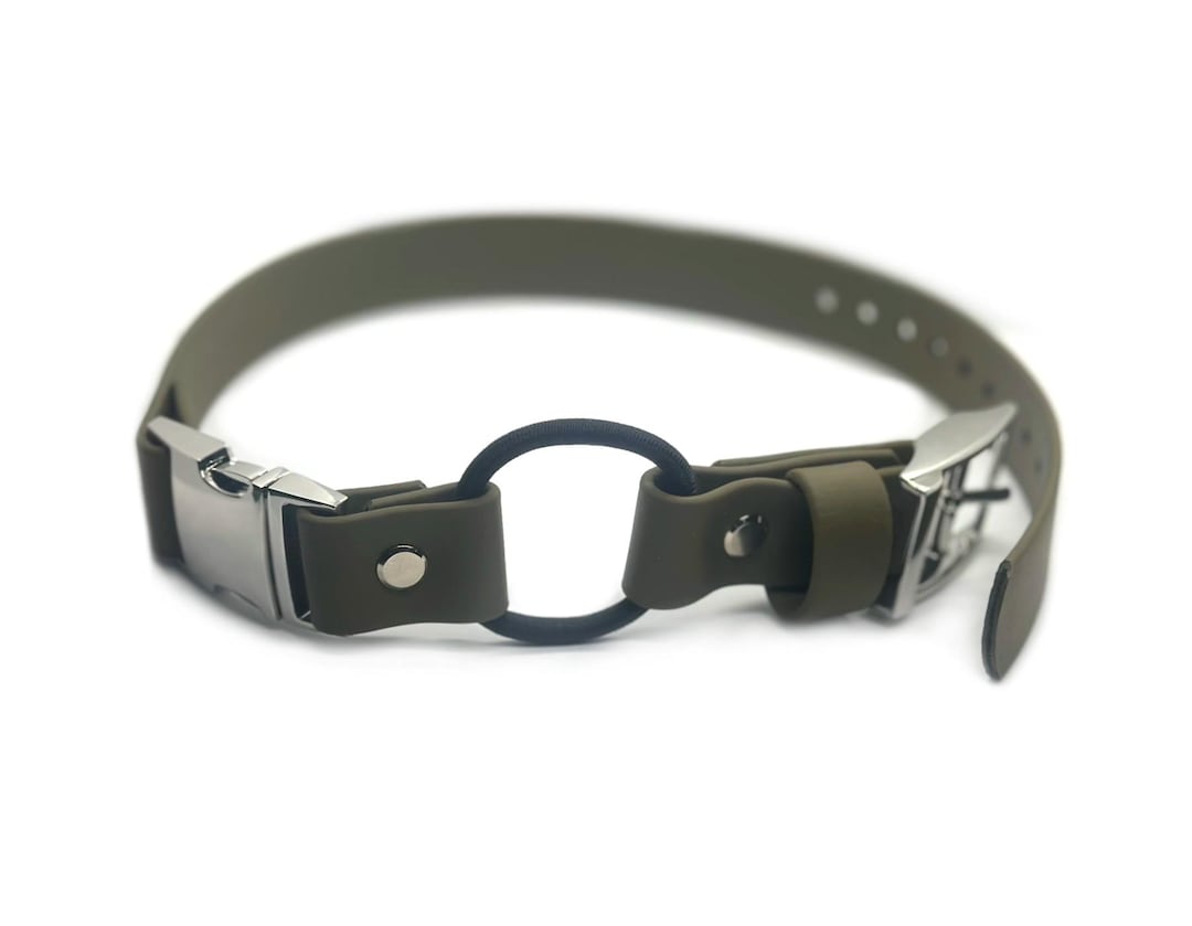 Biothane Ecollar Strap Bungee Quick Release Adjustable 1 Inch, 3