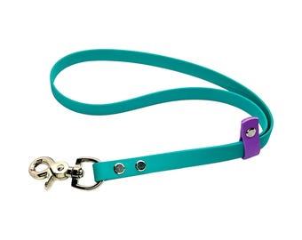 May include: A teal blue dog leash with a purple leather accent and a silver clip.
