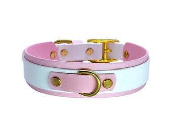 May include: A layered collar featuring a wide white band centered between two narrower light pink bands. The collar includes gold-toned metal hardware, including a D-ring at the front and a buckle closure at the back, secured with gold-toned rivets.