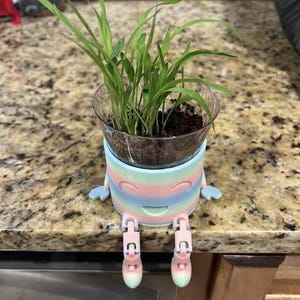 3D Printed Plant Buddy – Cute Decorative Planter Companion, Indoor Plant Decor