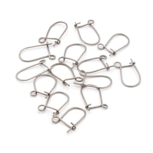 Hypoallergenic titanium kidney ear wires