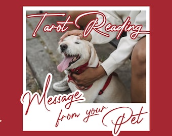 Tarot Reading for Messages from Your Pet