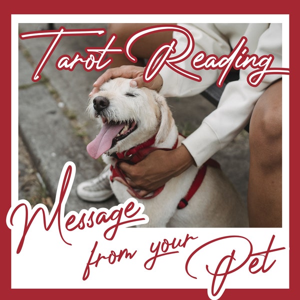 Tarot Reading for Messages from Your Pet