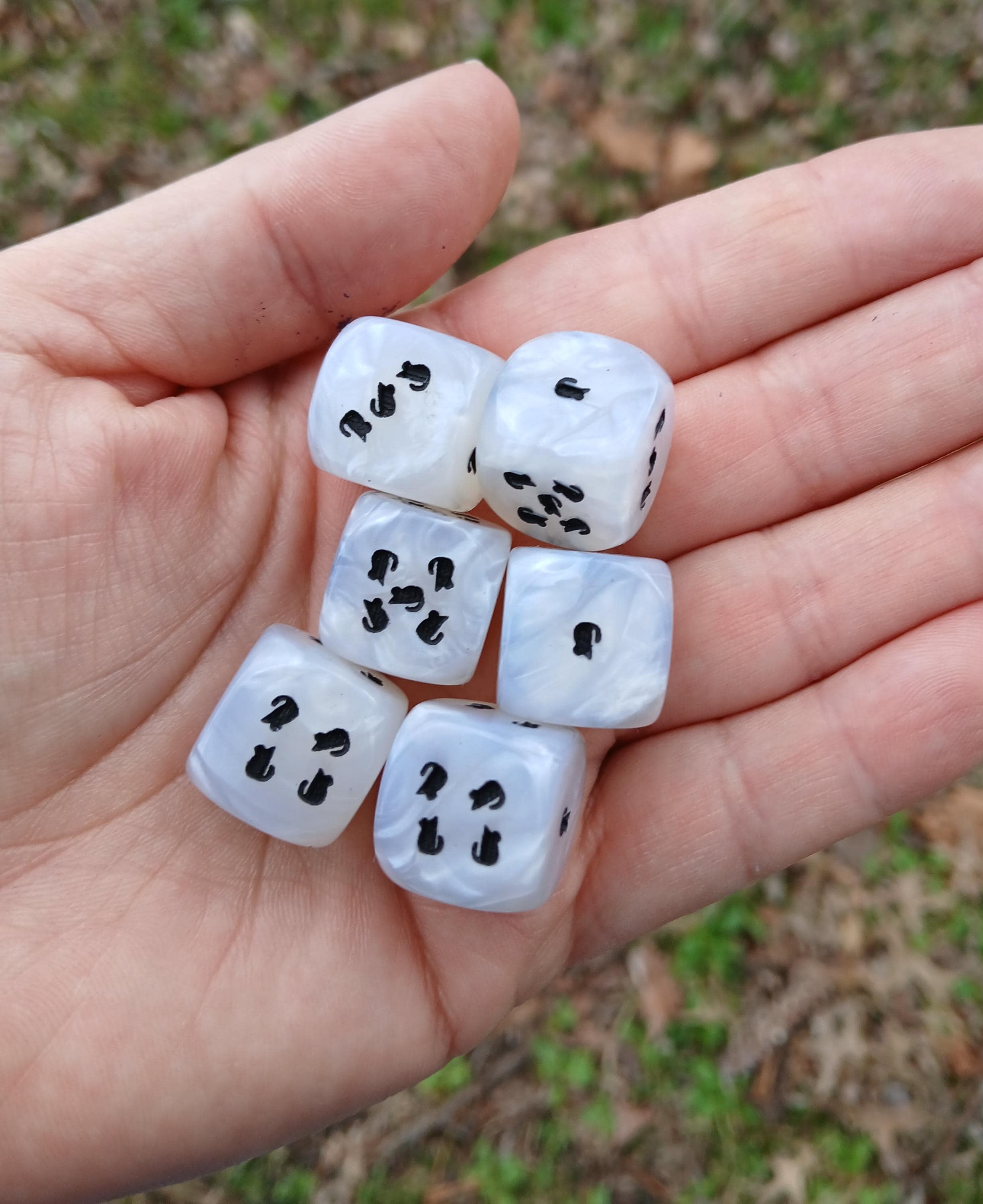 Kitty and Mice Dice - Set of 6 Engraved D6 Dice - 16mm - Free US ...