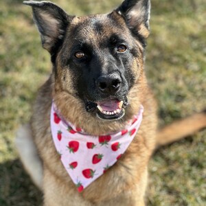 Character Dog Bandana