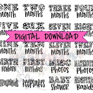 Léopard - FICHIERS NUMÉRIQUES | Étiquettes de boîte à photos | Autocollants de boîte à mémoire | Fichiers SVG | Couper le fichier