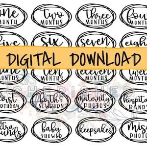 Oval Script - DOSSIERS NUMÉRIQUES | Étiquettes pour boîtes à photos | Stickers Boîte à Souvenirs | Fichiers SVG | Couper le fichier