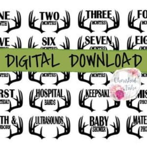 Bois de cerf - DOSSIERS NUMÉRIQUES | Étiquettes pour boîtes à photos | Stickers Boîte à Souvenirs | Fichiers SVG | Couper le fichier