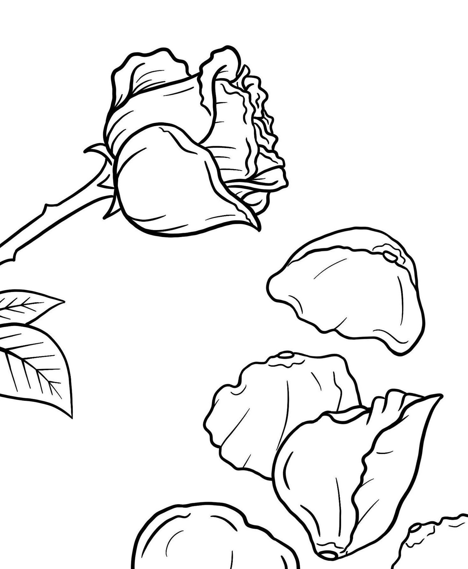 Flower Coloring Page Rose Petals Downloadable and Printable Etsy